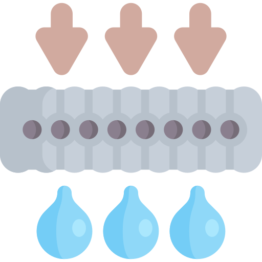 membrane